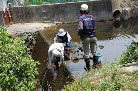 箱作小学校４年学習サポート　　　　　　　　　　「田山川の水生生物観察」_c0108460_18161279.jpg