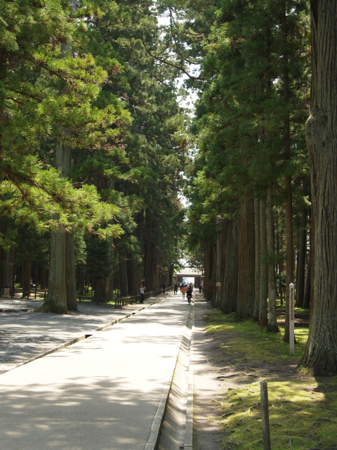 瑞巌寺　参道を行く_d0152261_20411467.jpg