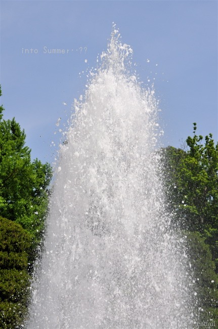 e0125762_222424.jpg
