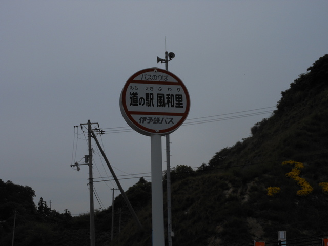 c0001670_22421368.jpg