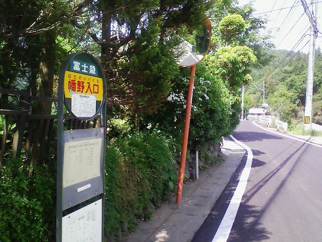 2012/05/19　大桑山_d0233770_2225264.jpg