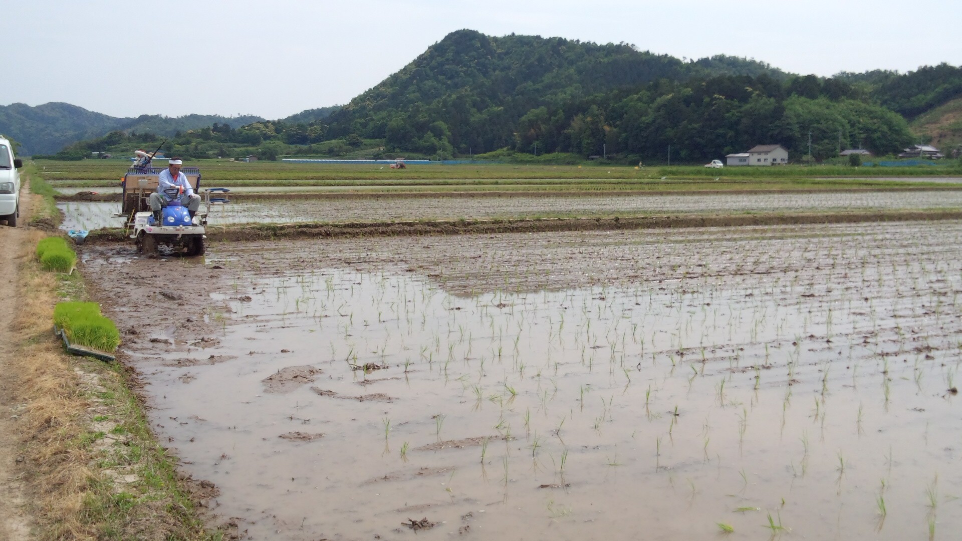 田植えでした!_a0200771_16262140.jpg