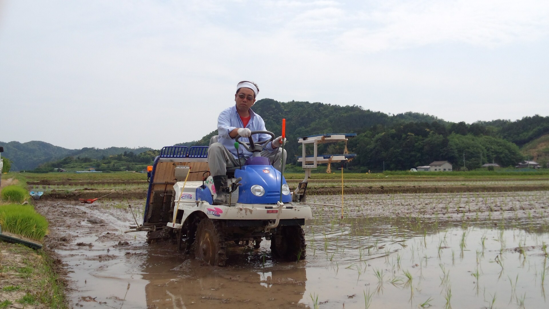田植えでした!_a0200771_16263028.jpg