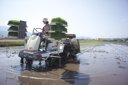 田植え開始！_a0164972_2151269.jpg