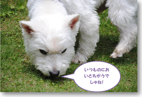 b0242873_027870.png