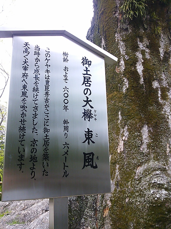 f0235575_12361889.jpg