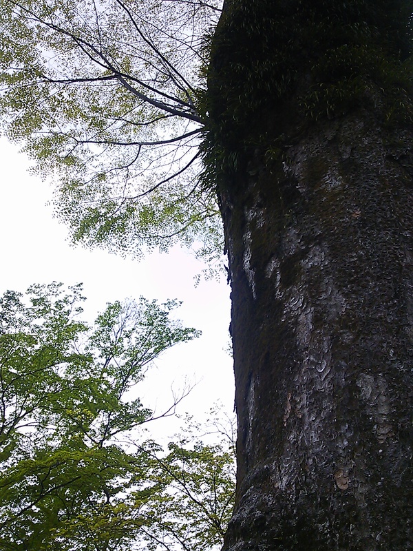 f0235575_12391295.jpg