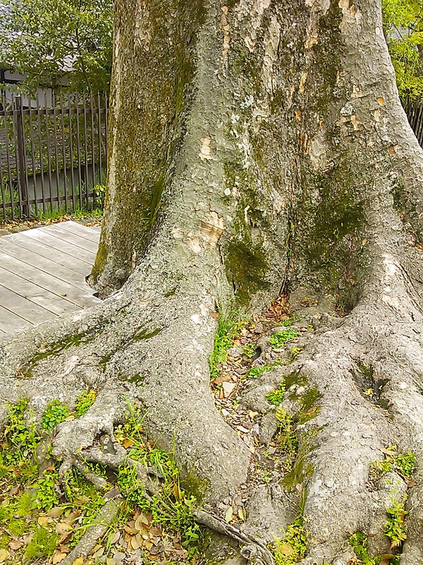 f0235575_1239338.jpg