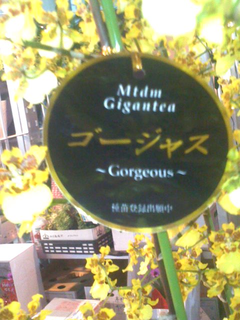 f0200477_57980.jpg