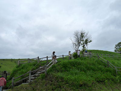 我家のすずらん・・・そして波野のスズラン_c0152779_1595269.jpg