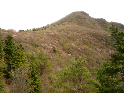 西赤石山　登山☆_d0148689_1442510.jpg