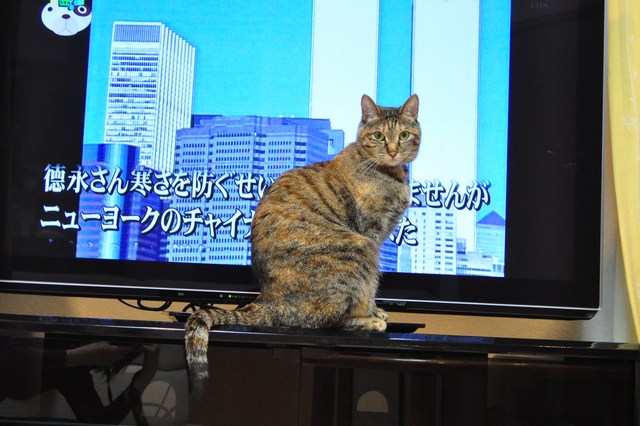 見づらいテレビ_a0126590_2256720.jpg