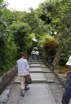 京都　祇園川上と新緑の建仁寺・高台寺_e0271890_1015291.jpg