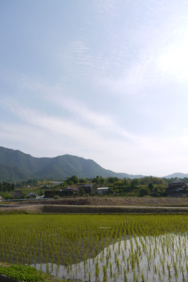f0222692_15135846.jpg