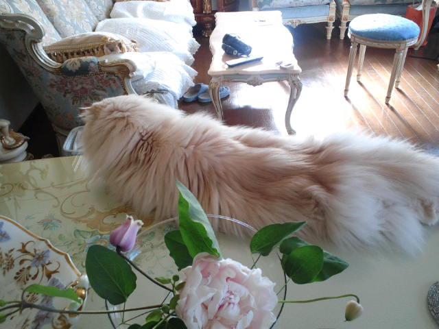 f0077595_9275790.jpg
