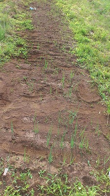 e0270403_013339.jpg