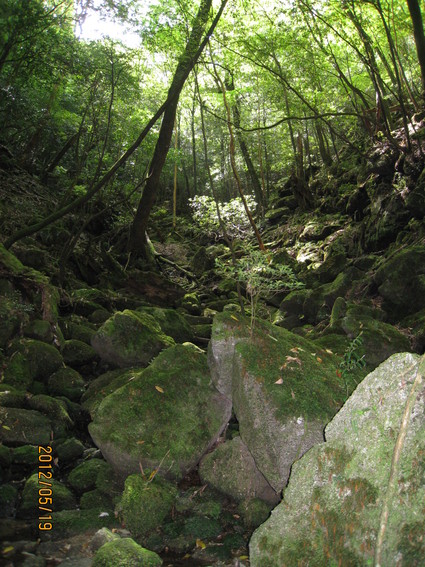 b0112509_1211495.jpg