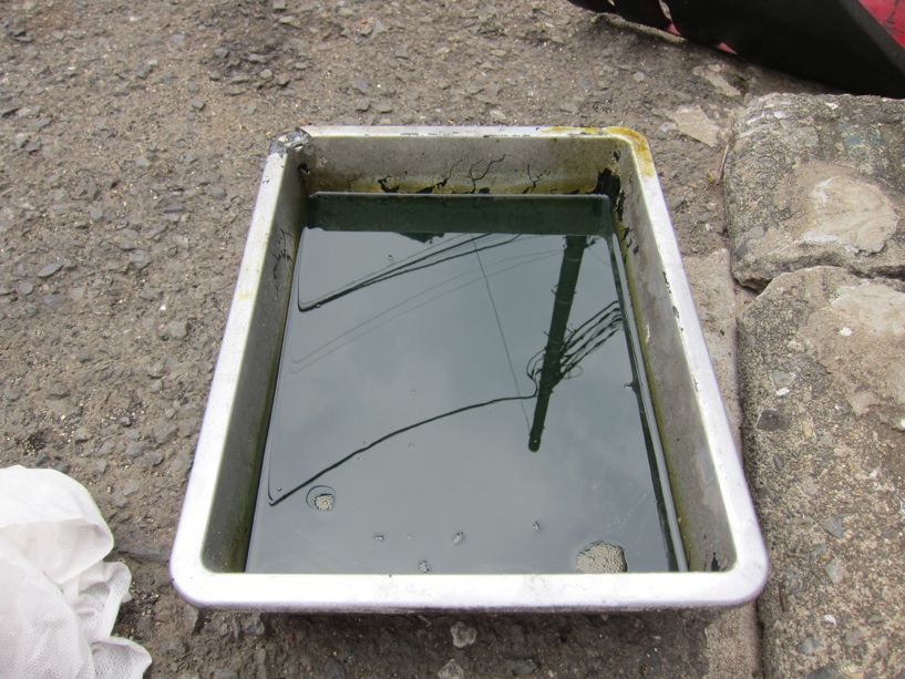 f0141609_1743176.jpg