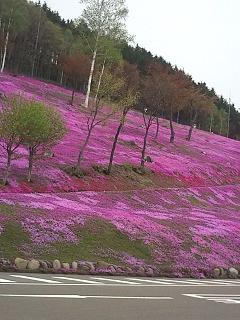 c0118011_17142635.jpg