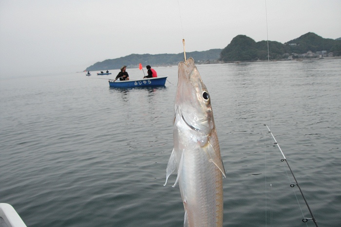 2012年5月20日(日曜日)に富浦でボート釣りしてきました。_d0118616_12382092.jpg