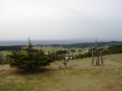 f0000521_20141985.jpg
