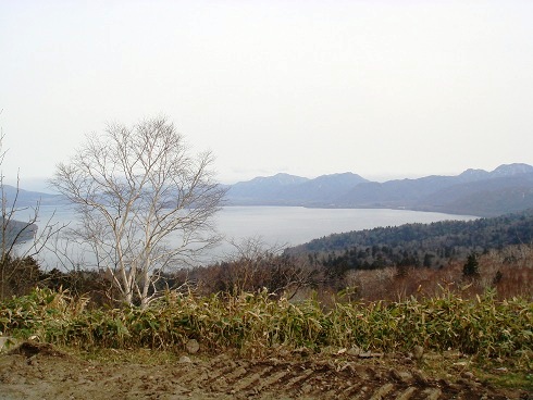 f0000521_20231532.jpg