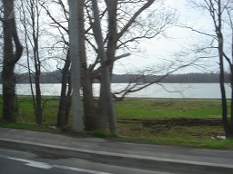 f0000521_2073098.jpg