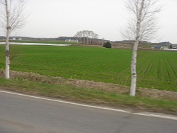f0000521_208071.jpg