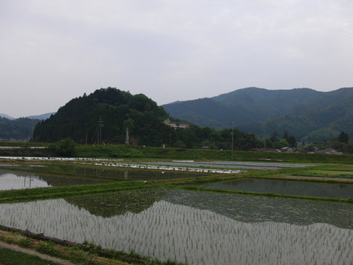 f0111128_10192720.jpg