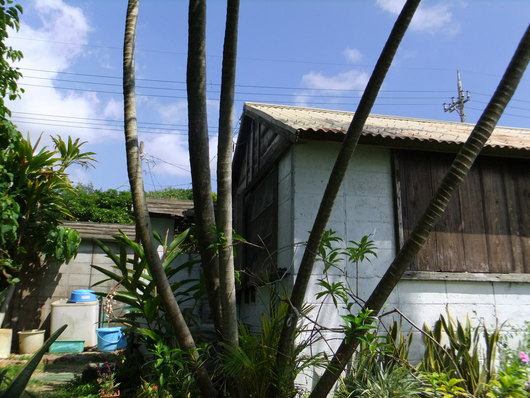 d0178432_17553027.jpg