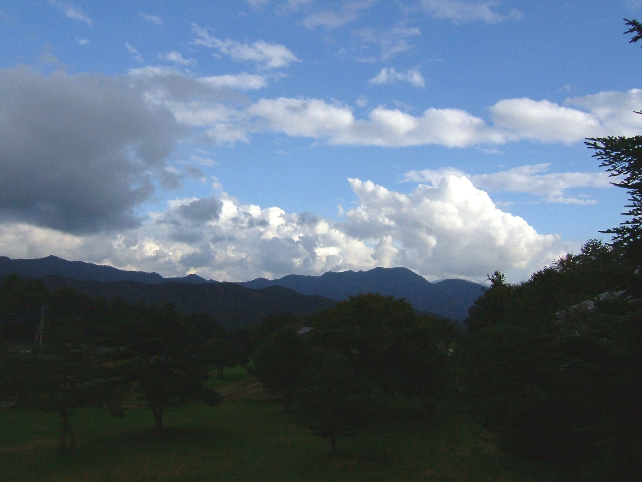e0151944_8483942.jpg