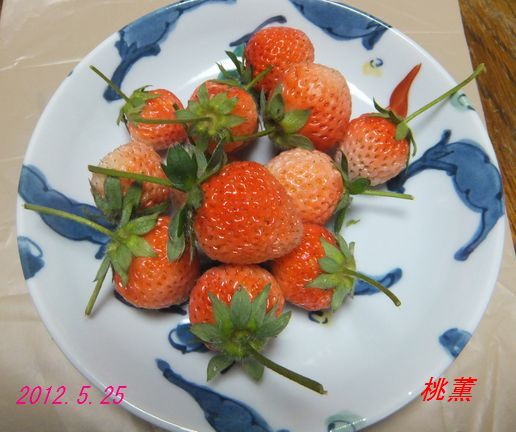 f0002750_2195015.jpg