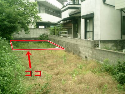 e0033751_16254072.jpg