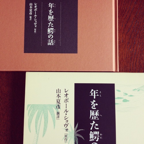 「東京蚤の市」ラジオ＆当日持っていく本のご紹介。_e0060555_1193282.jpg