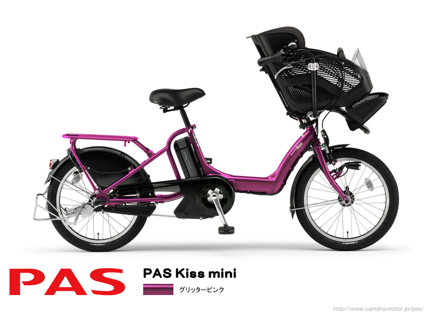 PAS　New　Model　_e0165756_1259538.jpg