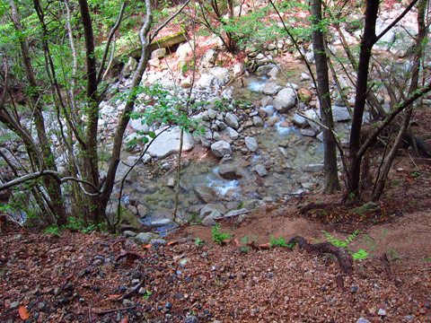 f0202271_01223.jpg