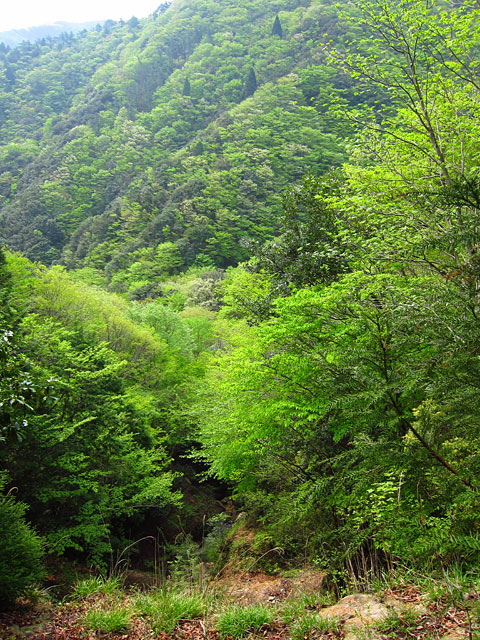 f0202271_09977.jpg