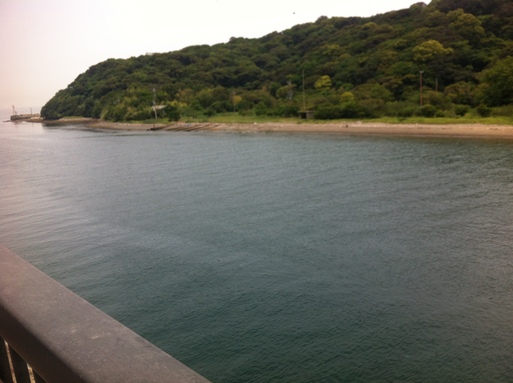 d0197872_20284476.jpg