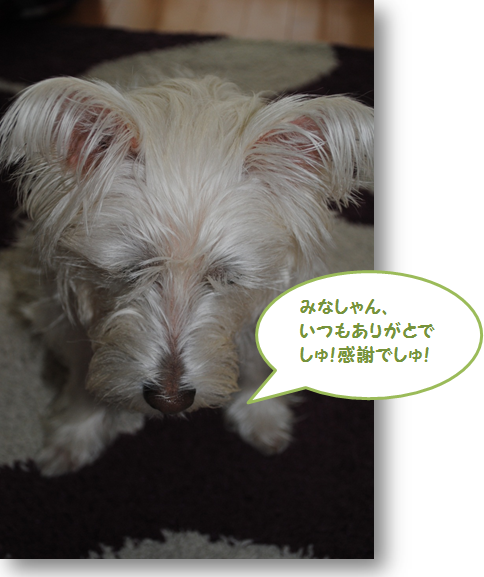 b0242873_1281062.png