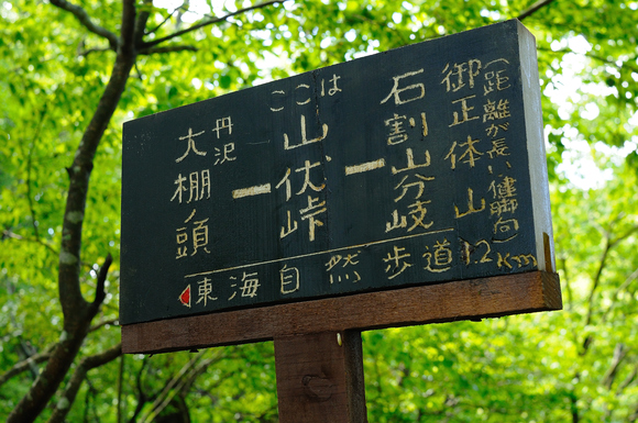 f0238475_08043.jpg