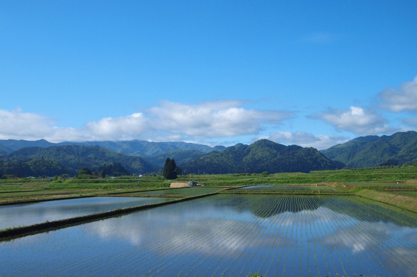 田んぼ水鏡_f0174989_9191949.jpg