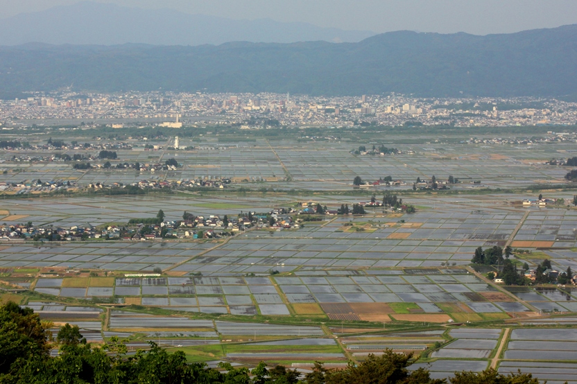 田んぼ水鏡_f0174989_923031.jpg