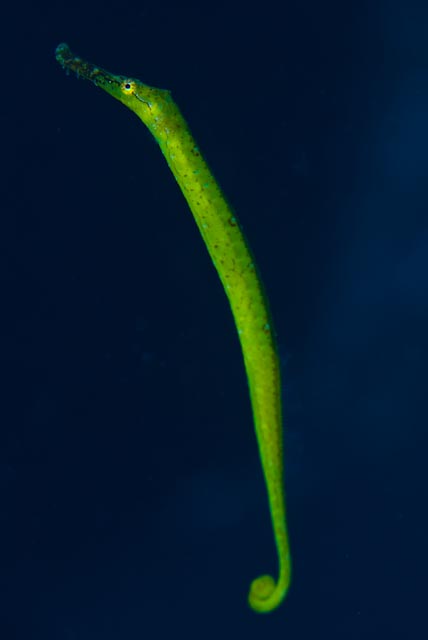 e0064291_2359582.jpg