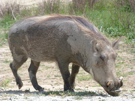 a0216392_12969.jpg