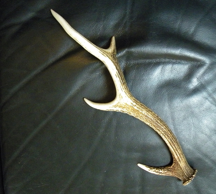 a0223993_658841.jpg