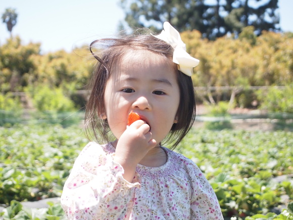 strawberry picking☆いちご狩り_d0182697_14365267.jpg