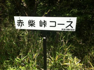 パソコン復帰_d0178999_065564.jpg