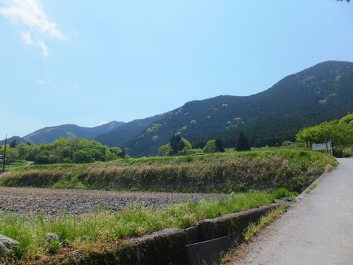 f0120102_10321091.jpg