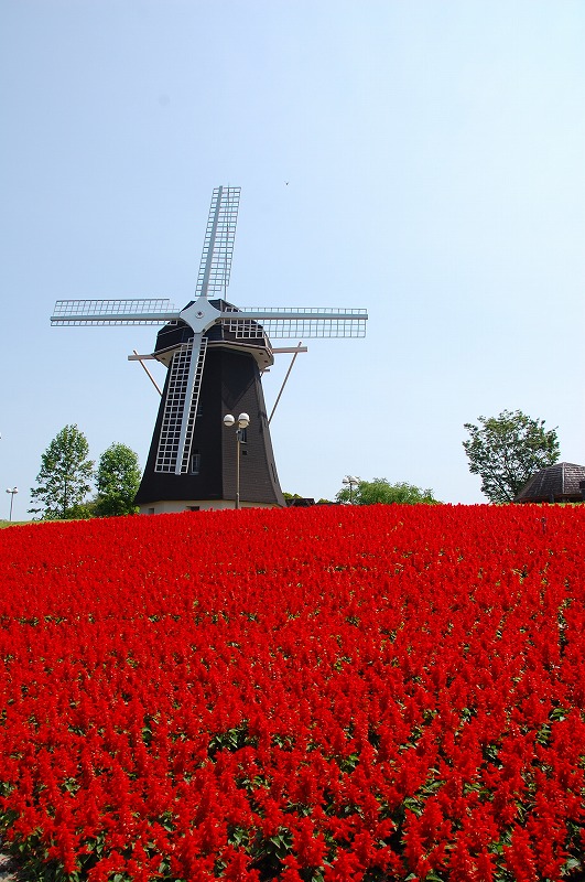 a0092804_04291.jpg