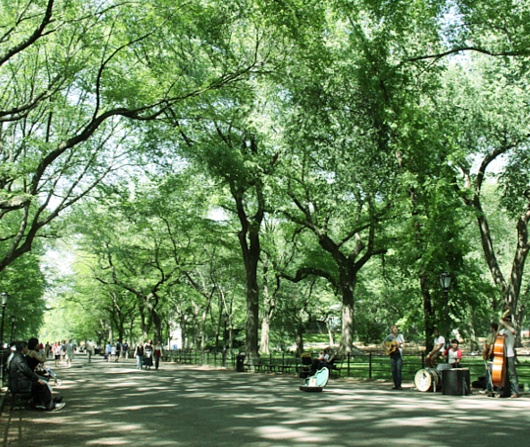 素顔のニューヨークを楽しむには公園巡りがオススメです_b0007805_23121128.jpg